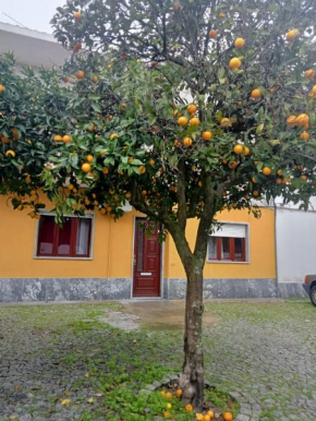 Evora Domus